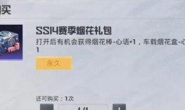 大爆料ss14最新手册,揭秘最新潮流趋势与时尚风向标