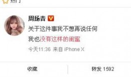 沙河网最新爆料新闻事件,最新爆料事件引发社会关注