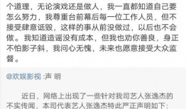 爆料张姓艺人名单最新版,张姓艺人名单大揭秘，娱乐圈风云再起